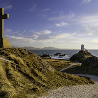 Buy canvas prints of Llanddwyn Island - Anglesey by Martin Noakes