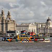 Buy canvas prints of Snowdrop Mersey Ferry  by Bernard Rose Photography