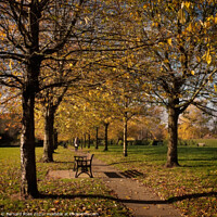 Buy canvas prints of Autumn Park  by Bernard Rose Photography