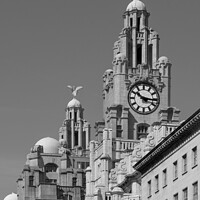 Buy canvas prints of Royal Liver Buildings  by Bernard Rose Photography