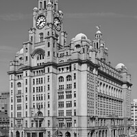 Buy canvas prints of The Royal Liver Building by Bernard Rose Photography