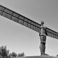Buy canvas prints of Angel of The North by Bernard Rose Photography