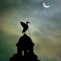 Buy canvas prints of Partial Eclipse over Liverbird No.2 2015 by Bernard Rose Photography