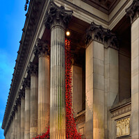 Buy canvas prints of Weeping Window Poppies at St George's Hall 2015 by Bernard Rose Photography