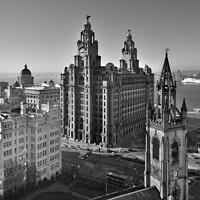 Buy canvas prints of Royal Liver Building  by Bernard Rose Photography