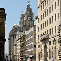 Buy canvas prints of Royal Liver Building by Bernard Rose Photography