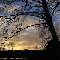 Buy canvas prints of Winter Sunset Thurstaston Common by Bernard Rose Photography