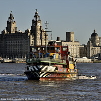 Buy canvas prints of Snowdrop the Dazzle Mersey Ferry by Bernard Rose Photography