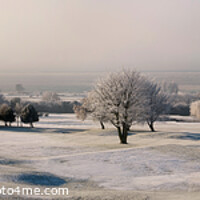 Buy canvas prints of Heswall Golf Course with a Hoar Frost by Bernard Rose Photography