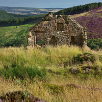 Buy canvas prints of Stone Cottage Ruin on Cairn O'Mount Road  by Bernard Rose Photography