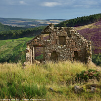 Buy canvas prints of Stone Cottage Ruin on Cairn O'Mount Road  by Bernard Rose Photography