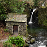 Buy canvas prints of Rydal Hall Waterfall by louise wilson