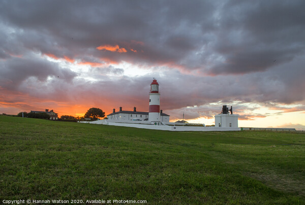 Souter Lighthouse Sunset Picture Board by Hannah Watson