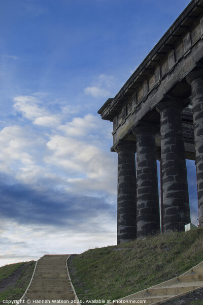 Penshaw Monument Picture Board by Hannah Watson