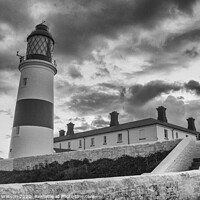 Buy canvas prints of Souter Lighthouse Mono by Hannah Watson