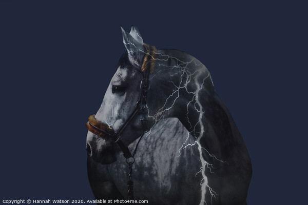 Horse Lightning Strike Picture Board by Hannah Watson