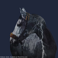Buy canvas prints of Horse Lightning Strike by Hannah Watson