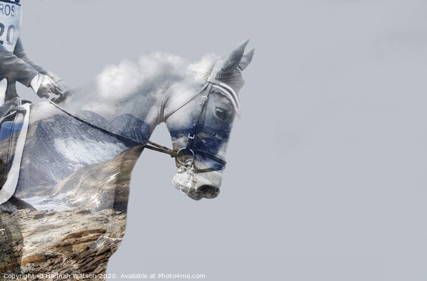 Cloudy Sky Horse Picture Board by Hannah Watson