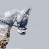 Buy canvas prints of Cloudy Sky Horse by Hannah Watson