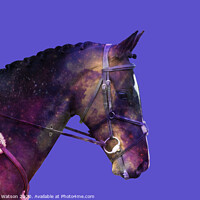 Buy canvas prints of Horse Space Nebula by Hannah Watson