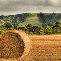 Buy canvas prints of Straw Bale South Downs by Eddie Howland