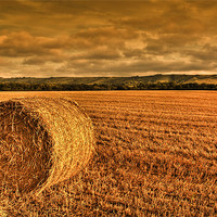 Buy canvas prints of Straw Bale in Sussex by Eddie Howland