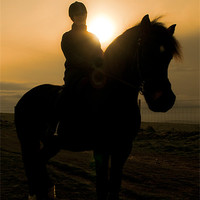Buy canvas prints of Horse Rider and Morning Light by Eddie Howland