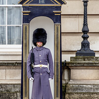 Buy canvas prints of Guard at Buckingham Palace in London by Karol Kozlowski
