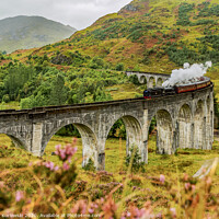 Buy canvas prints of Jacobite Steam Train crossing the Glenfinnan Viaduct by Karol Kozlowski