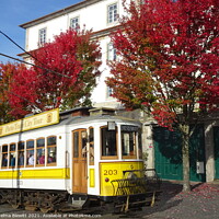 Buy canvas prints of Porto City Tram  by Thelma Blewitt