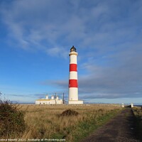 Buy canvas prints of Tarbat Ness Lighthouse by Thelma Blewitt