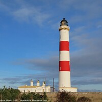 Buy canvas prints of Tarbat Ness Lighthouse by Thelma Blewitt