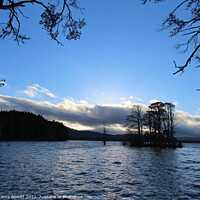 Buy canvas prints of Loch Mallachie Island by Thelma Blewitt