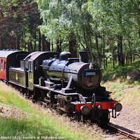 Buy canvas prints of Strathspey Steam Railway by Thelma Blewitt
