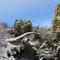 Buy canvas prints of Sun and snow at Carrbridge by Thelma Blewitt