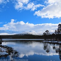 Buy canvas prints of Winter at Loch Morlich by Thelma Blewitt