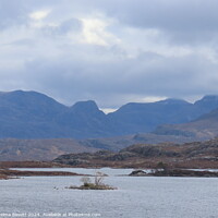 Buy canvas prints of Loch Maree view by Thelma Blewitt