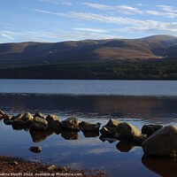 Buy canvas prints of Loch Morlich reflections by Thelma Blewitt