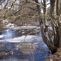 Buy canvas prints of Icy River Nethy by Thelma Blewitt