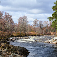 Buy canvas prints of River Dee at Dinnet, Aberdeenshire by Andrew Davies