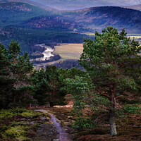 Buy canvas prints of Royal Deeside and the Cairngorms by Andrew Davies