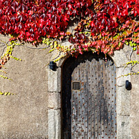 Buy canvas prints of Autumn colours at Crathes Castle, Banchory, Aberde by Andrew Davies