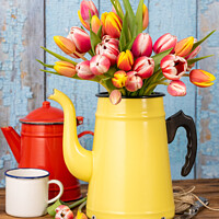 Buy canvas prints of Colorful tulips in old enamel coffee pot by Thomas Klee