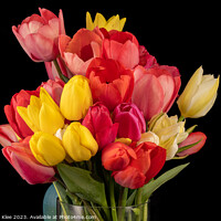 Buy canvas prints of Close-up of a colourful bouquet of fresh tulips by Thomas Klee