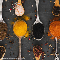Buy canvas prints of Exotic spices as a panorama by Thomas Klee