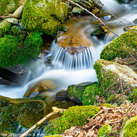 Buy canvas prints of Small waterfalls in the black forest by Thomas Klee