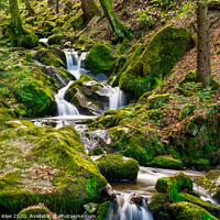 Buy canvas prints of Small waterfalls in the black forest by Thomas Klee