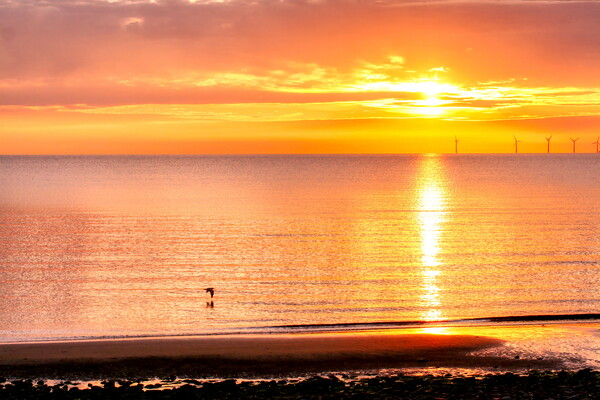 Warm Calm Pastel Sunrise Llandudno beach  Picture Board by Helkoryo Photography