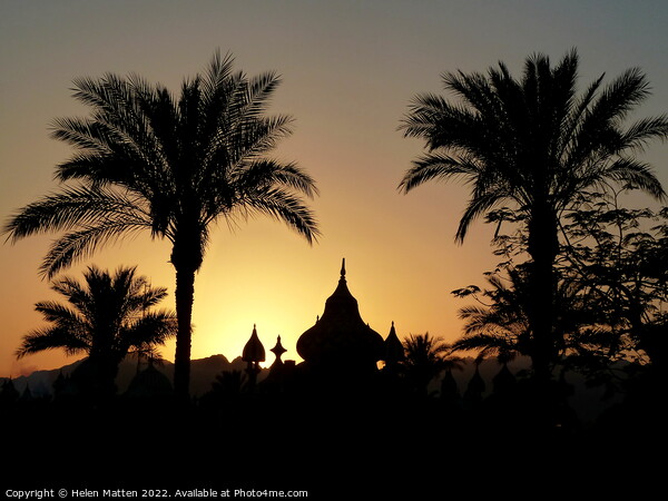 Palm Tree Egyptian Sunrise 2 Picture Board by Helkoryo Photography