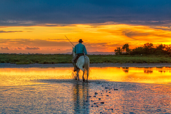 Riding into the Sunset Picture Board by Helkoryo Photography